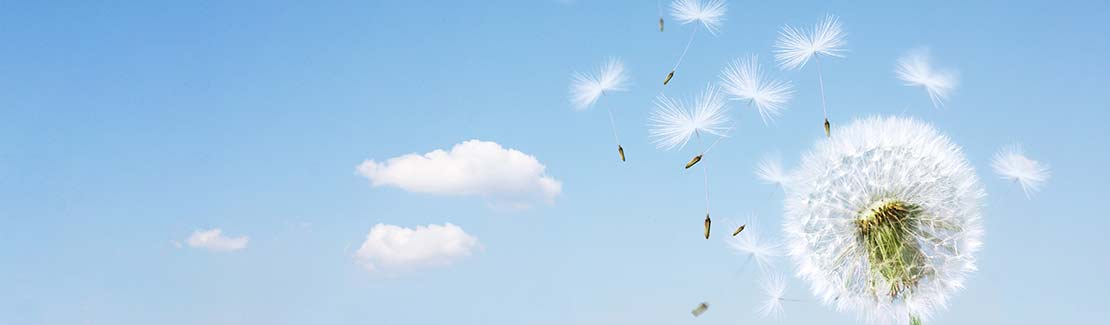 Heuschnupfenmittel DHU