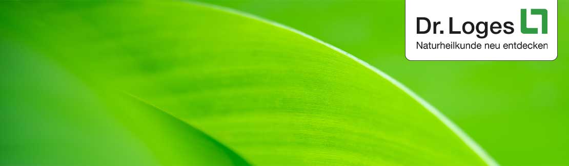 Dr. Loges + Co.
