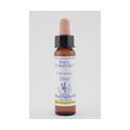 BACHBLÜTEN White Chestnut Healing Herbs Tropfen
