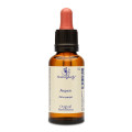 BACHBLÜTEN Aspen Healing Herbs Tropfen