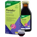FLORADIX Sport Eisen Tonikum