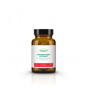 PINIENRINDENEXTRAKT Kapseln