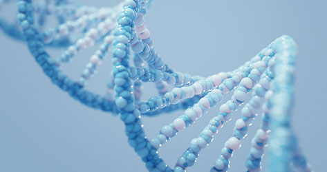 Was ist nochmal Epigenetik